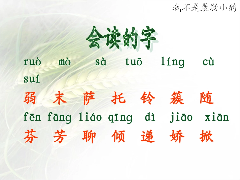 7我不是最弱小的课件1 (3)_第3页
