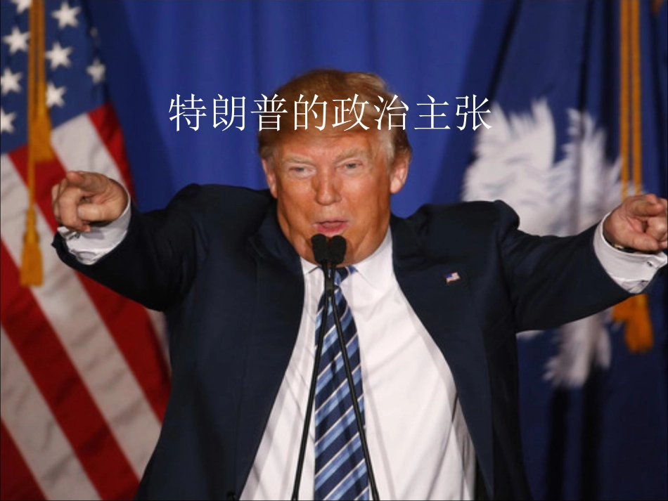 4特朗普的政治主张_第1页