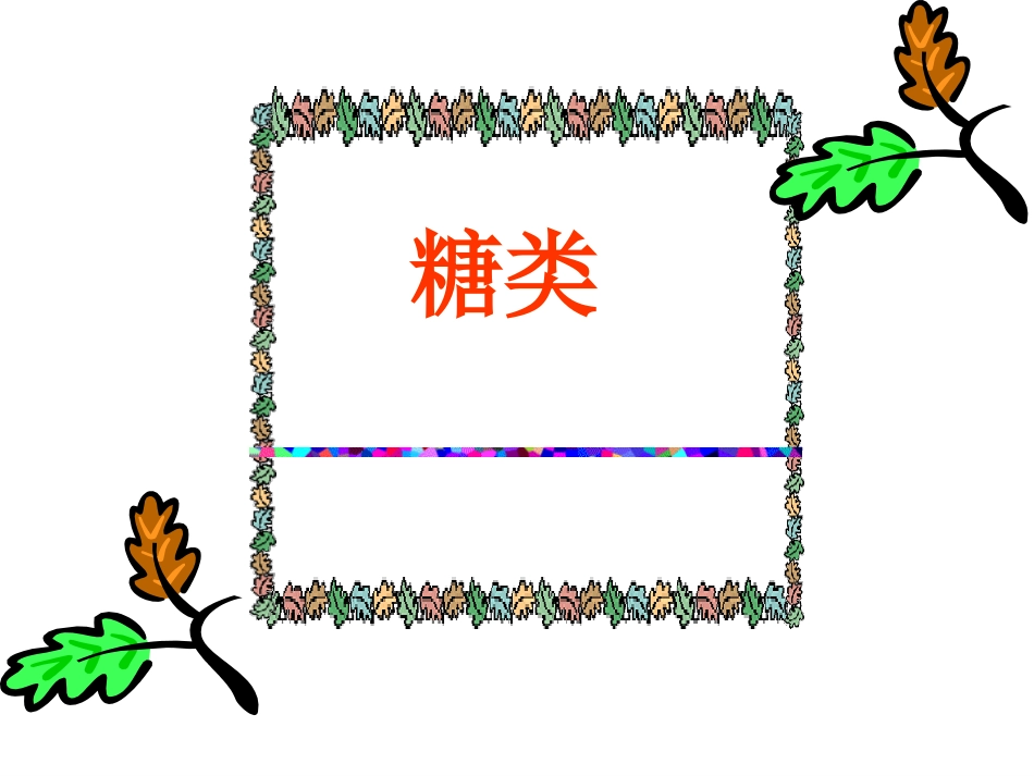 营养物质基础_第3页