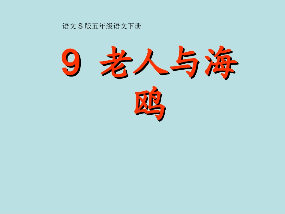 9老人与海鸥 (2)_第1页