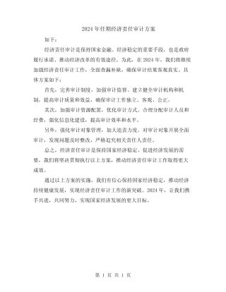 2024年任期经济责任审计方案