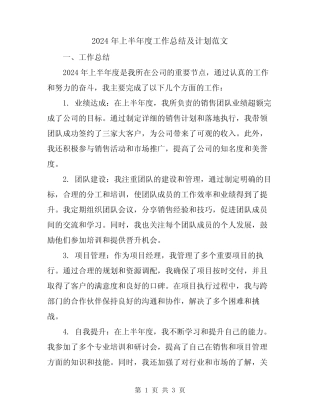 2024年上半年度工作总结及计划范文