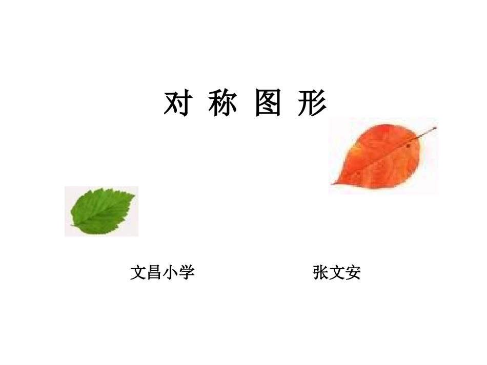 第4册《对称图形》（_张文安_）_第1页
