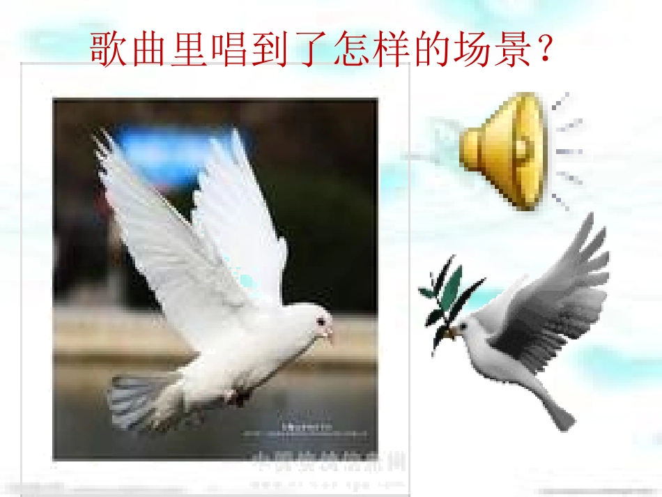 《白鸽》课件_第2页
