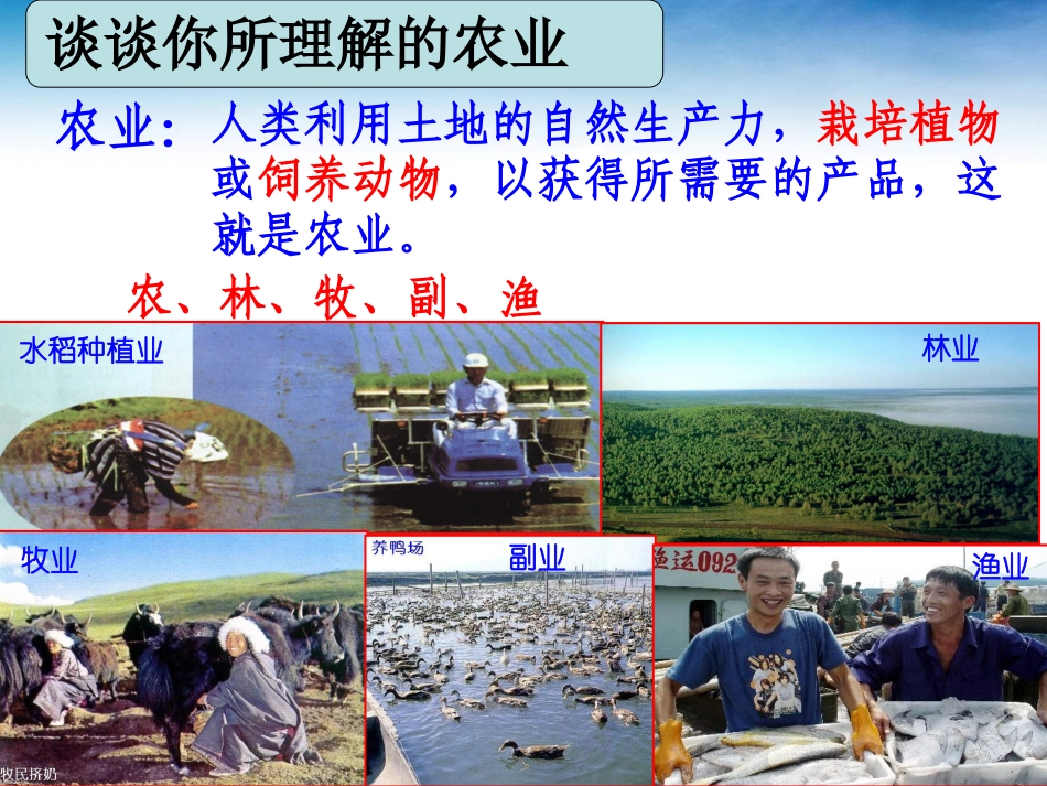 第三章第一节农业区位的选择（第一课时）_第3页