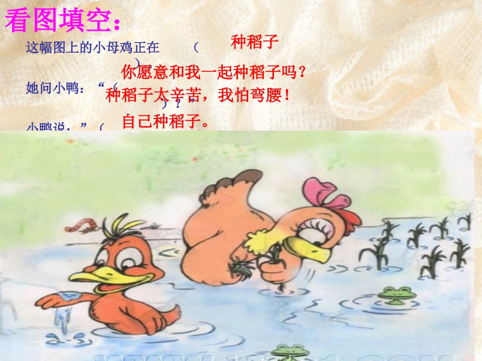 第二课《小母鸡种稻子》课件2_第3页