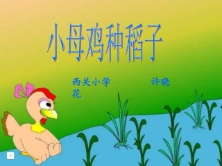 第二课《小母鸡种稻子》课件2