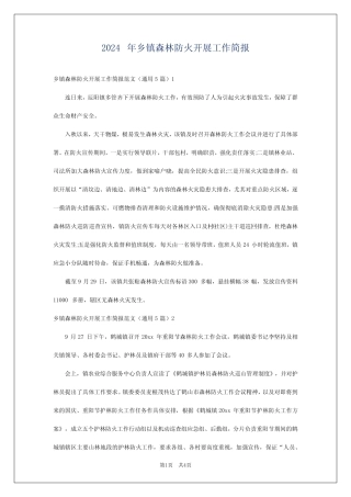 2024年乡镇森林防火开展工作简报 
