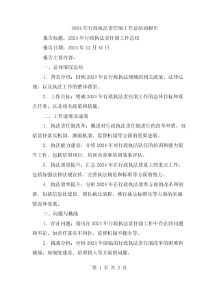 2024年行政执法责任制工作总结的报告 