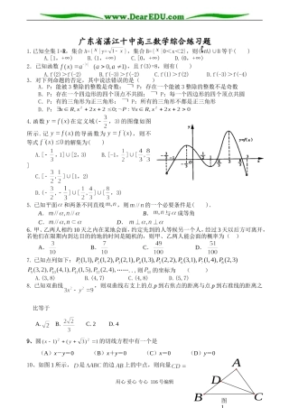 广东省湛江十中高三数学综合练习题