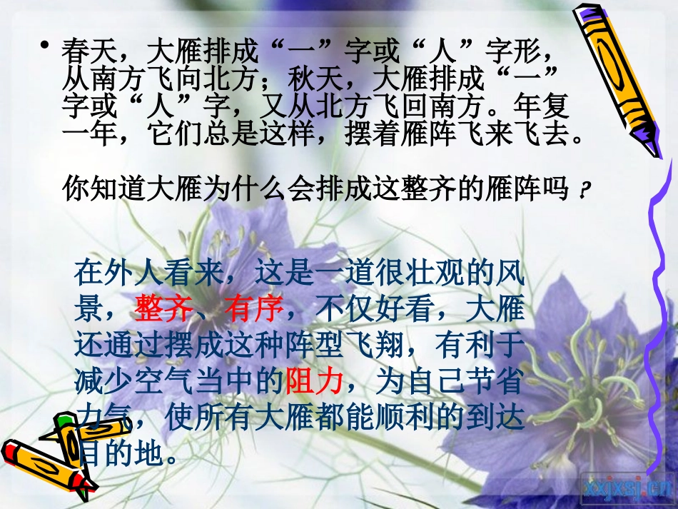 主题班会：纪律_第2页