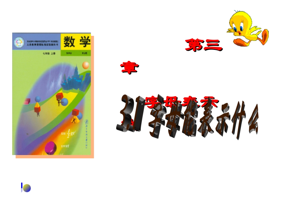 字母能表示什么_第2页