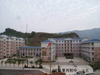紫藤萝瀑布7