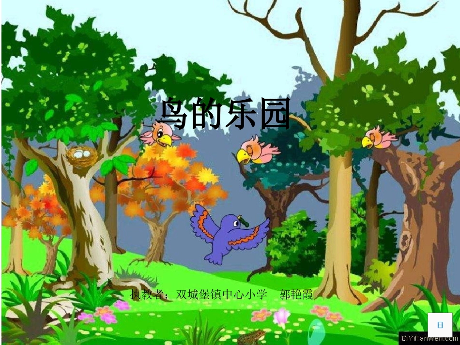 鸟的乐园课件PPt_第1页