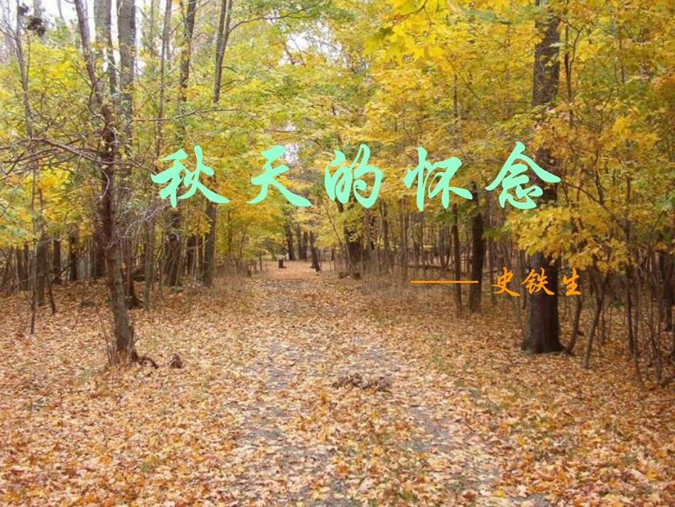 秋天的怀念【xin_第1页