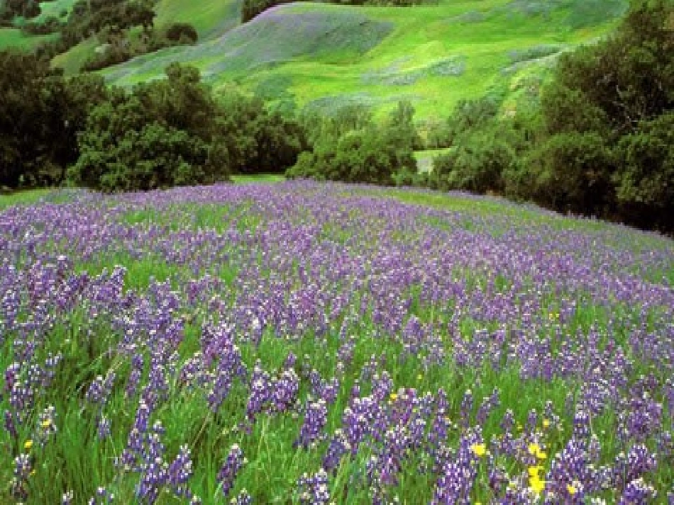 蔡颖《四季》_第2页