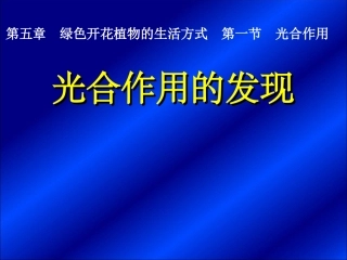 第1节　光合作用