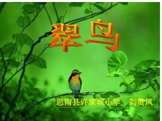 课件《翠鸟》