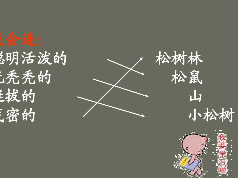 整理松鼠和松果_第3页
