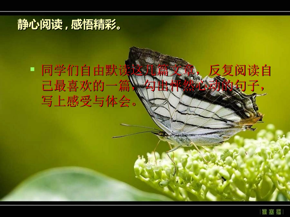 群文阅读演示文稿_第3页