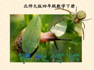 谁爬得快课件