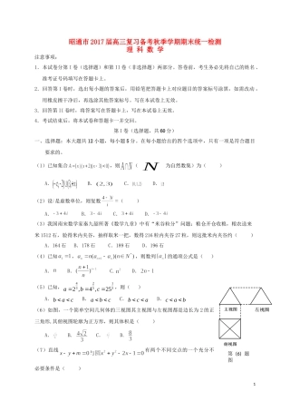 云南省昭通市高三数学上学期期末统一检测试题 理-人教版高三全册数学试题