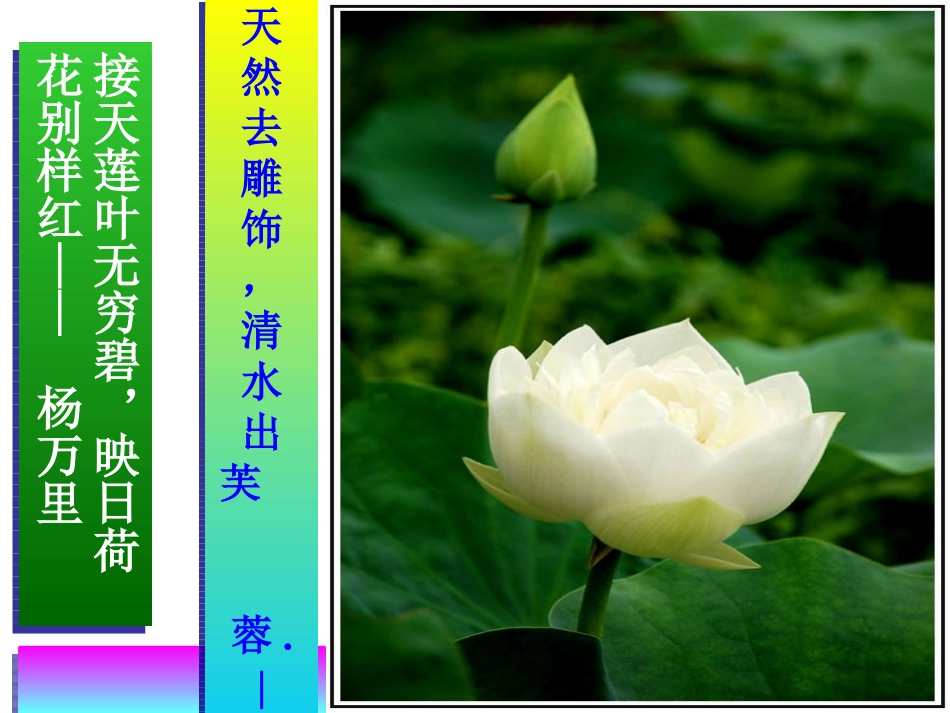 爱莲说[1]_第2页