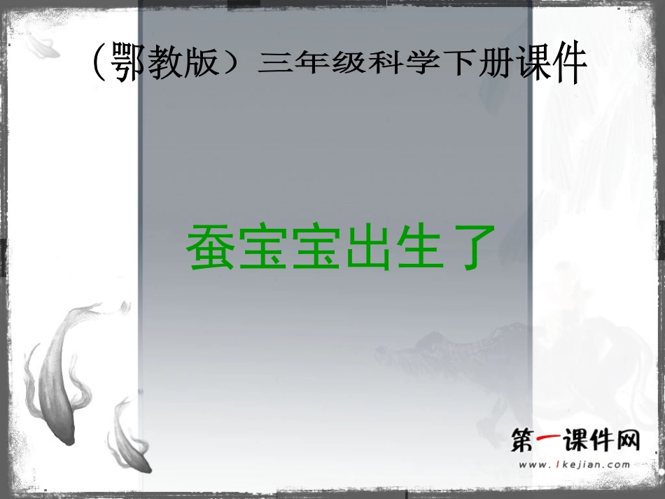 蚕宝宝出生了_第1页