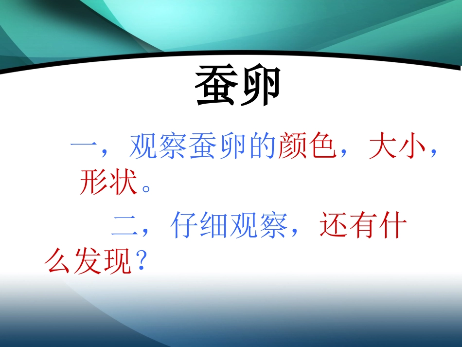 蚕宝宝出生了_第3页