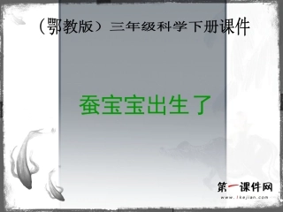蚕宝宝出生了