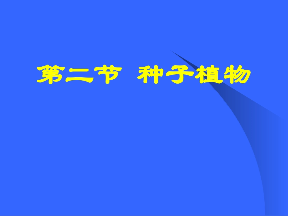 种子植物说课_第1页