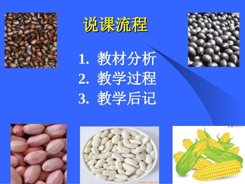 种子植物说课_第2页
