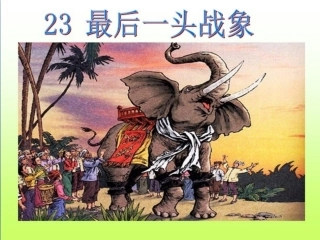 最后一头战象