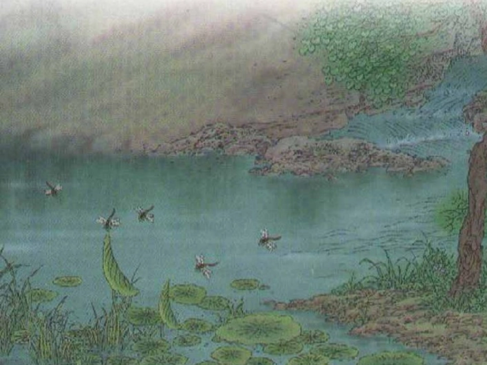 小池第二课时_第2页