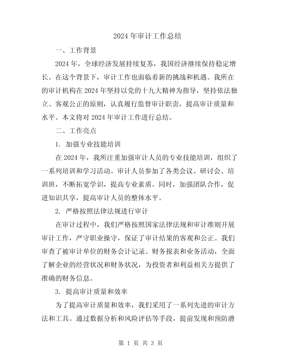 2024年审计工作总结_第1页