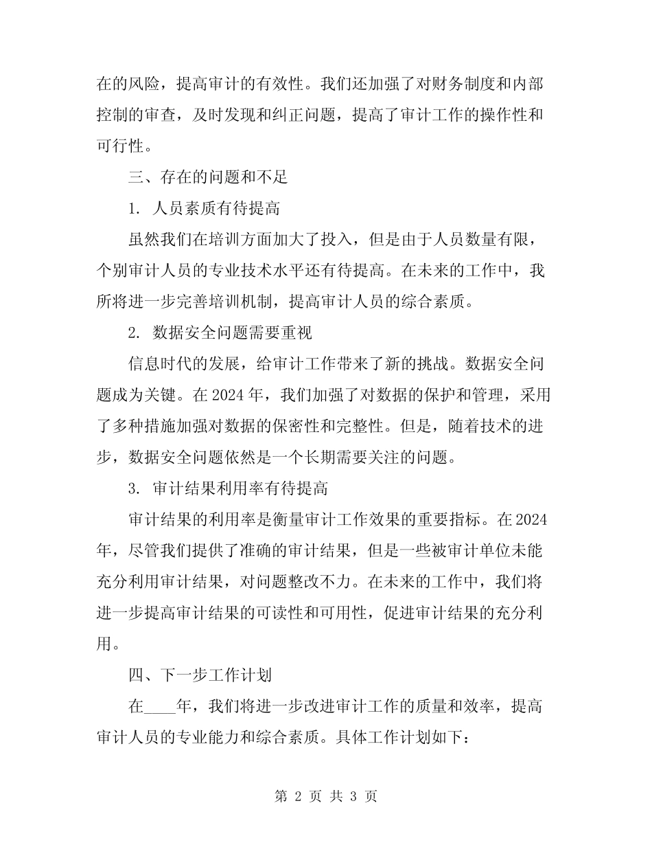 2024年审计工作总结_第2页