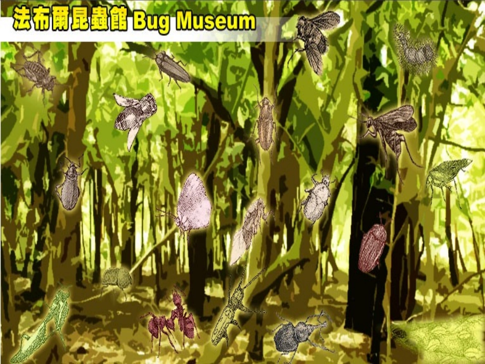 5装满昆虫的衣袋 (2)_第2页