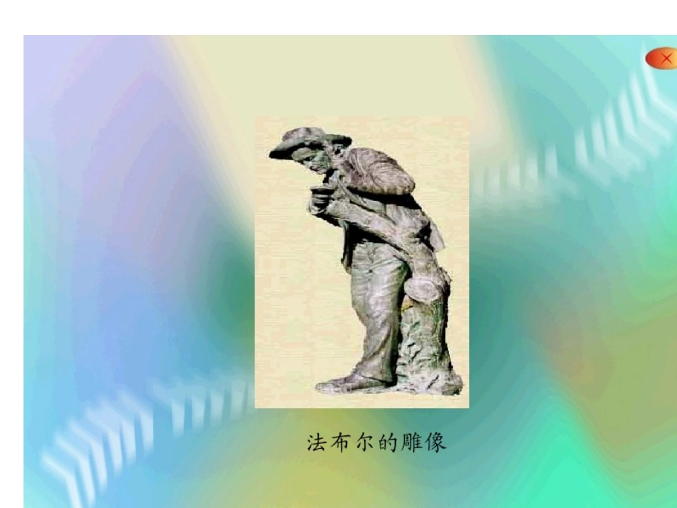 5装满昆虫的衣袋 (2)_第3页