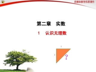 1认识无理数