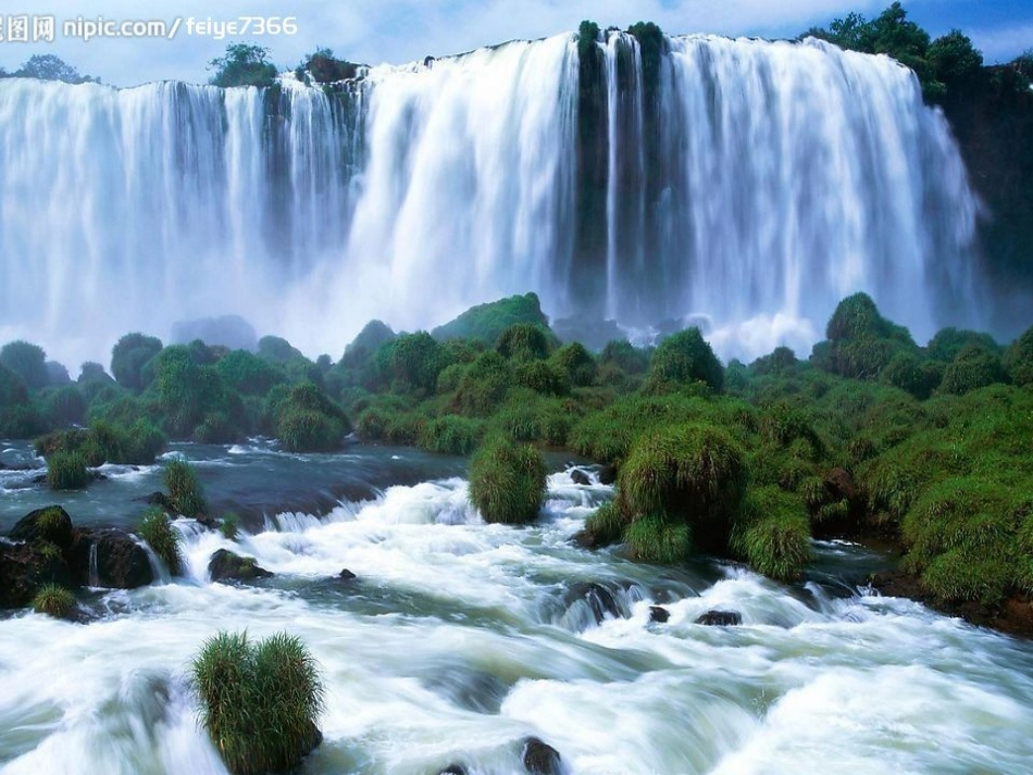 紫藤萝瀑布副本_第3页