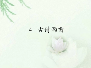 4　古诗两首_课件