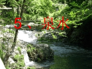 5泉水第一课时