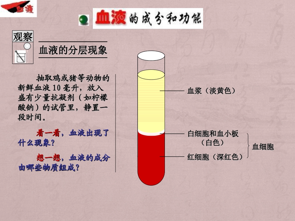 七年级生物血液_第3页