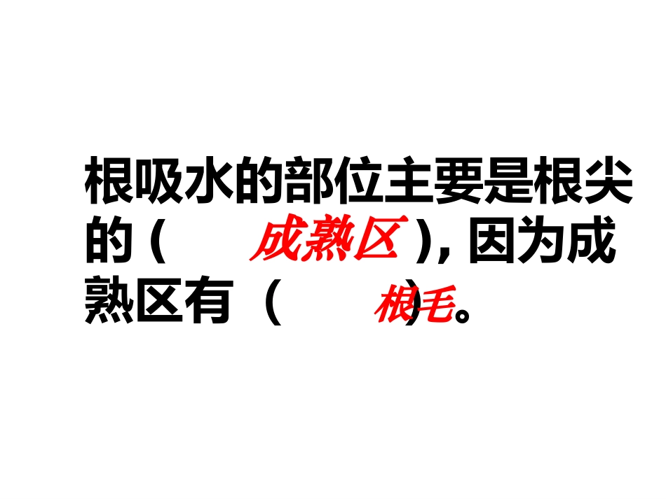 第三章绿色植物与生物圈的水循环课件1_第2页