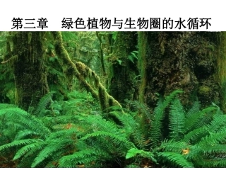 第三章绿色植物与生物圈的水循环课件1