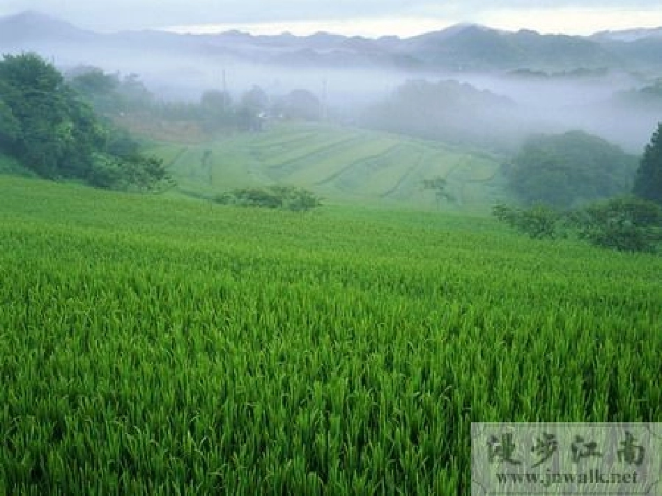 乡村四月徐娴_第2页