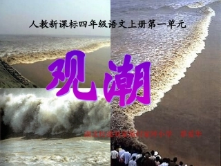 观潮 (4)