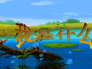 我是什么课件1