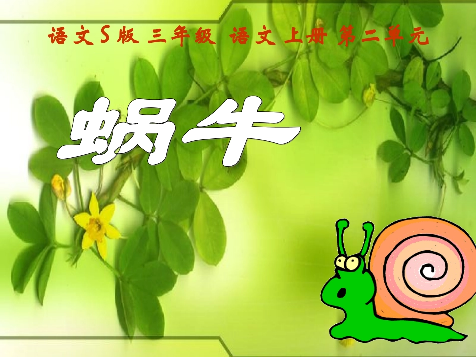 蜗牛》讲课课件_第3页