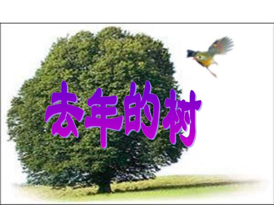 去年的树(1)_第1页